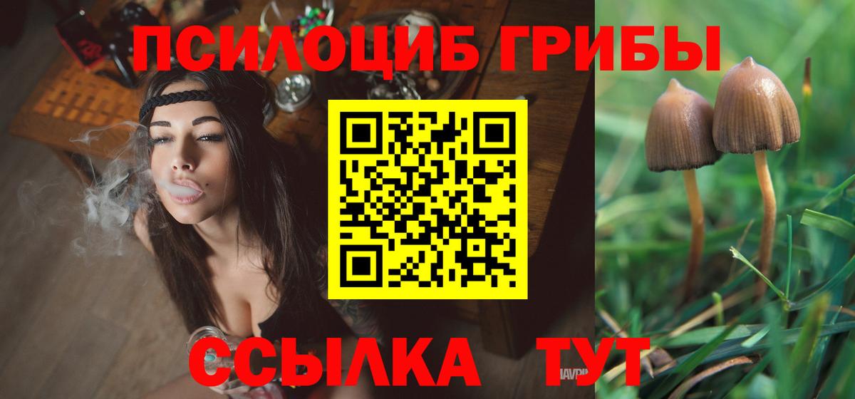 закладки  Галлюциногенные грибы GOLDEN TEACHER  Нефтеюганск  Вход с VPN  Псилоцибиновые грибы мухоморы 
